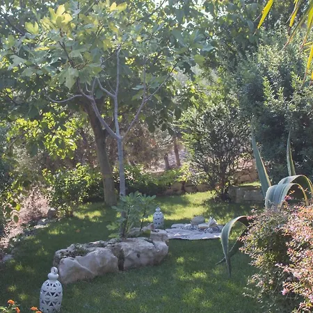 Td Casa Torchiano Hilltop Pool With Sea View 别墅